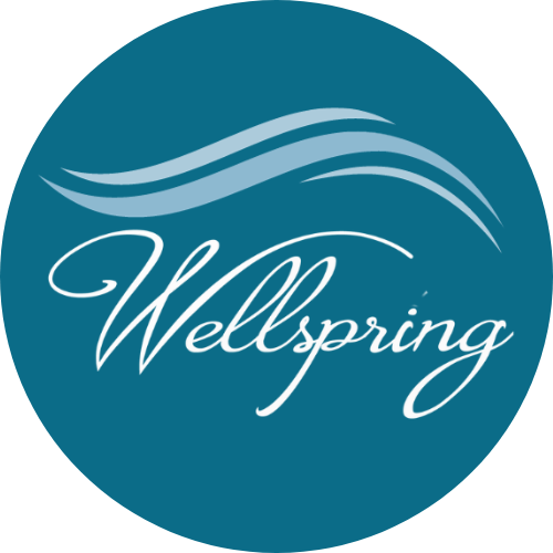 Wellspring Case Management logo